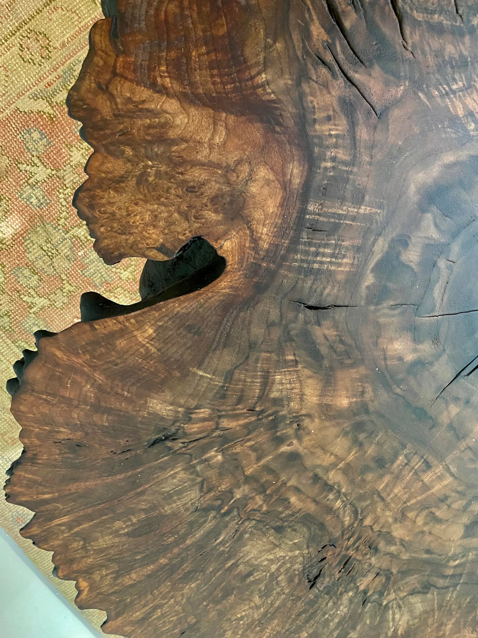 Organic Modern Claro Walnut Burl Wood Coffee Table - 7