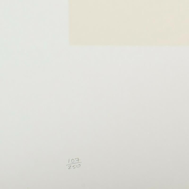 Michael McMillien "Flight to Mars" 11 Color Silkscreen Print 165/250 Signed - 2
