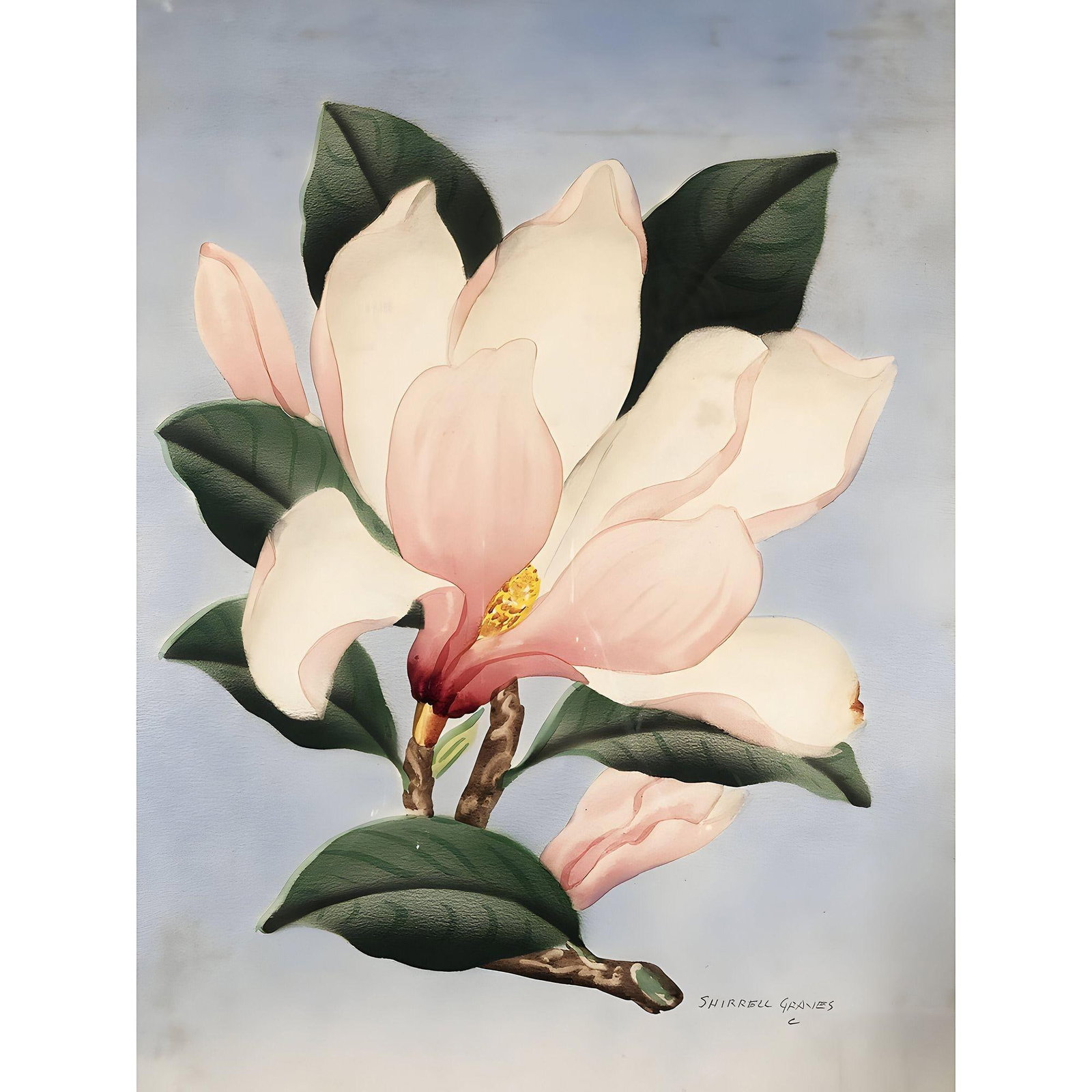 White/Pink Magnolia Watercolor Painting on Paper Signed Shirrell Graves, Framed - 2