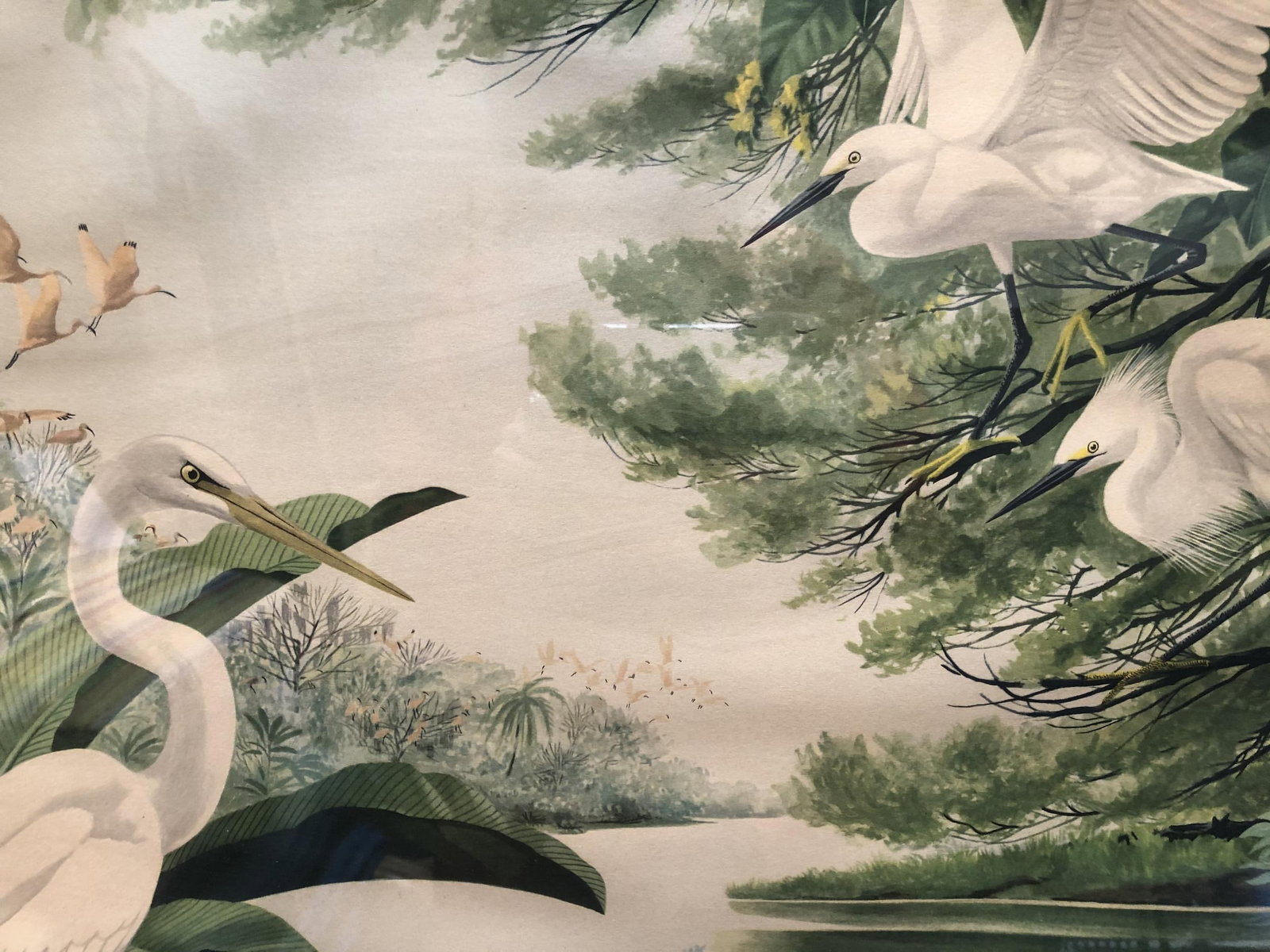 Post-War Tropical Cranes Print in Original Frame - 2