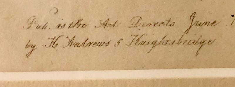 Two of the Hand Colored Botanist Repository Series 1797 Andrews, Henry 'British' - 13