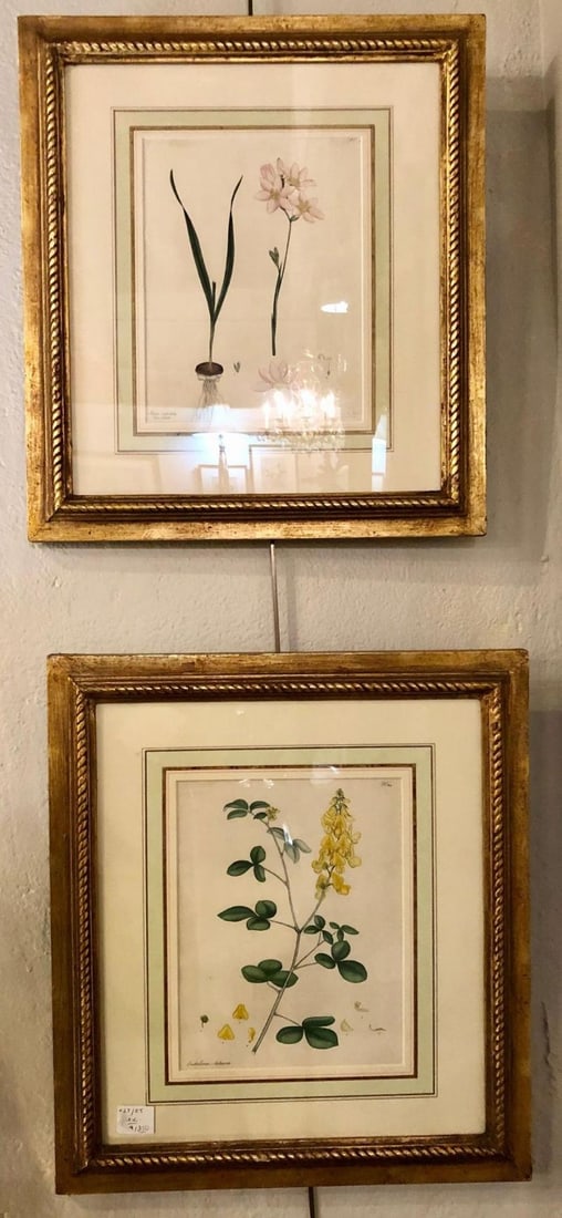 Two of the Hand Colored Botanist Repository Series 1797 Andrews, Henry 'British' - 3