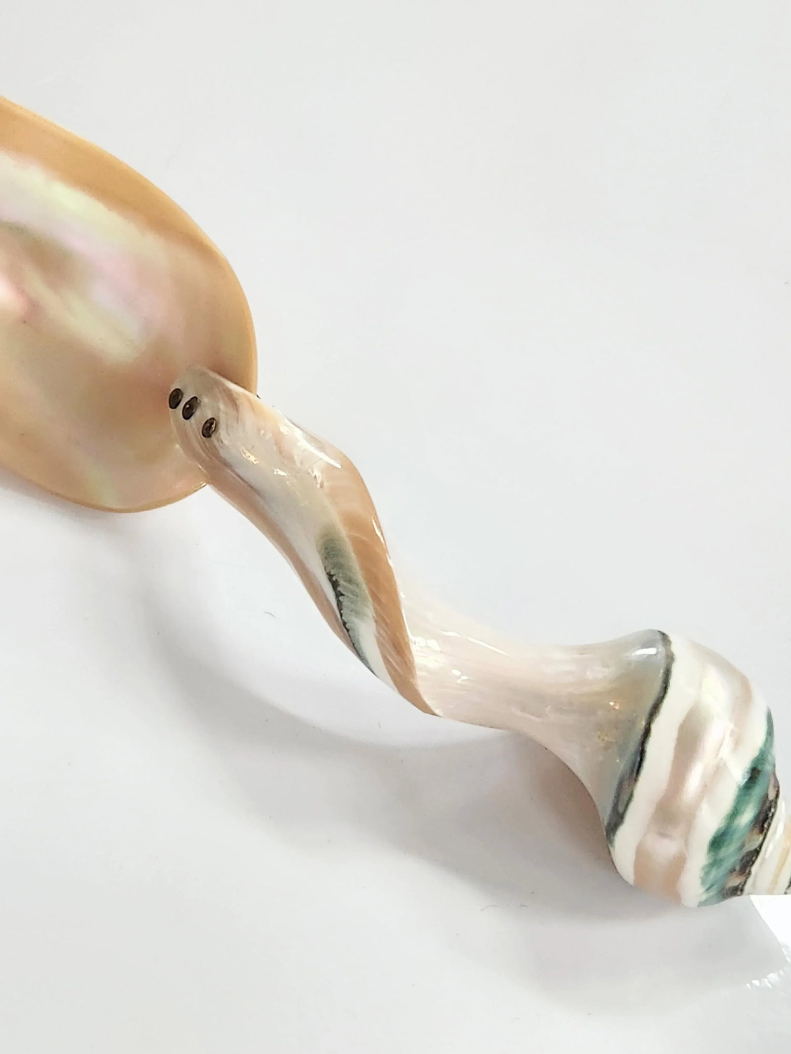 1970s Mother-Of-Pearl Organic Sculptural Sea Shell Serving Spoon - 2