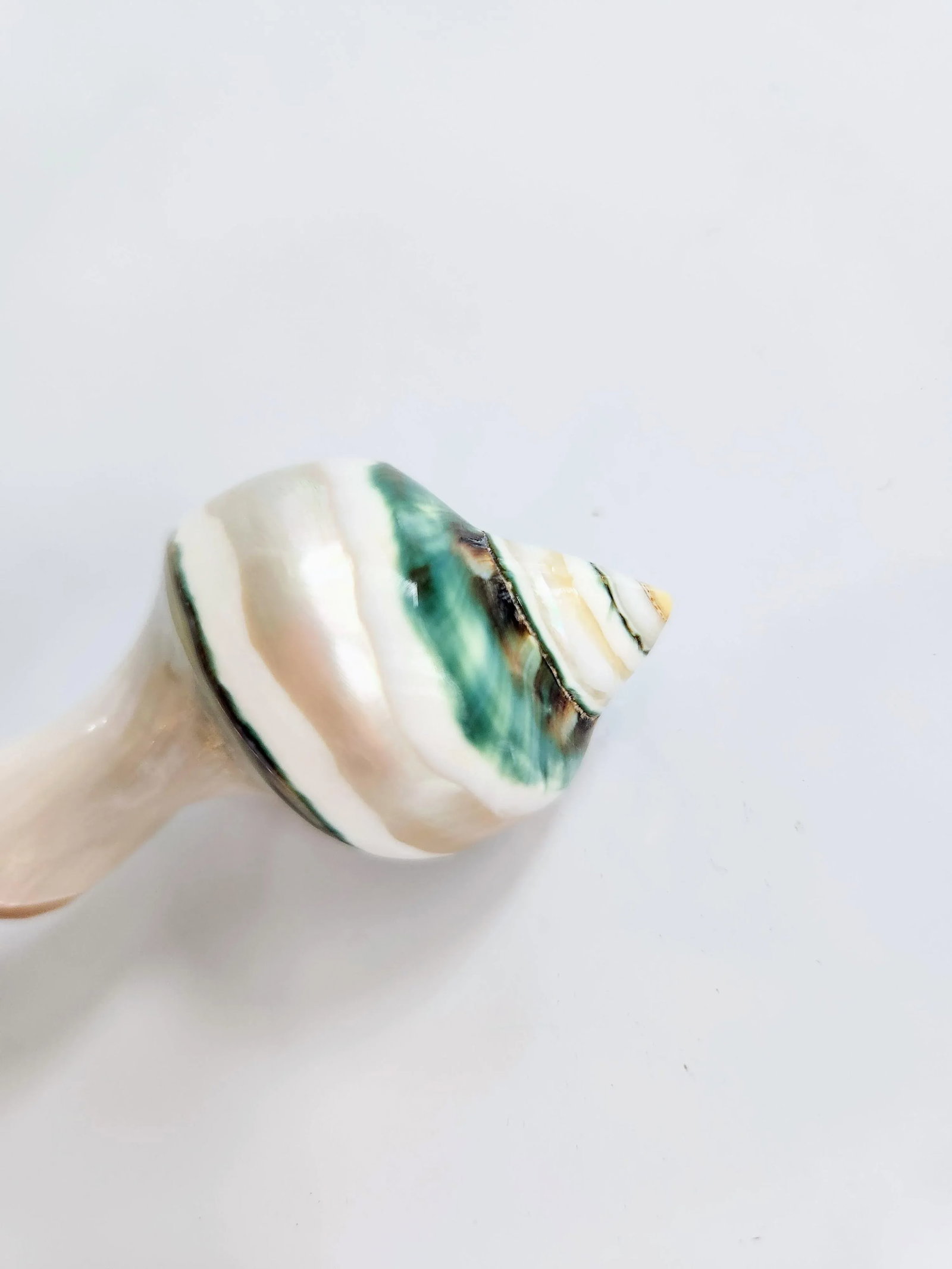 1970s Mother-Of-Pearl Organic Sculptural Sea Shell Serving Spoon - 3