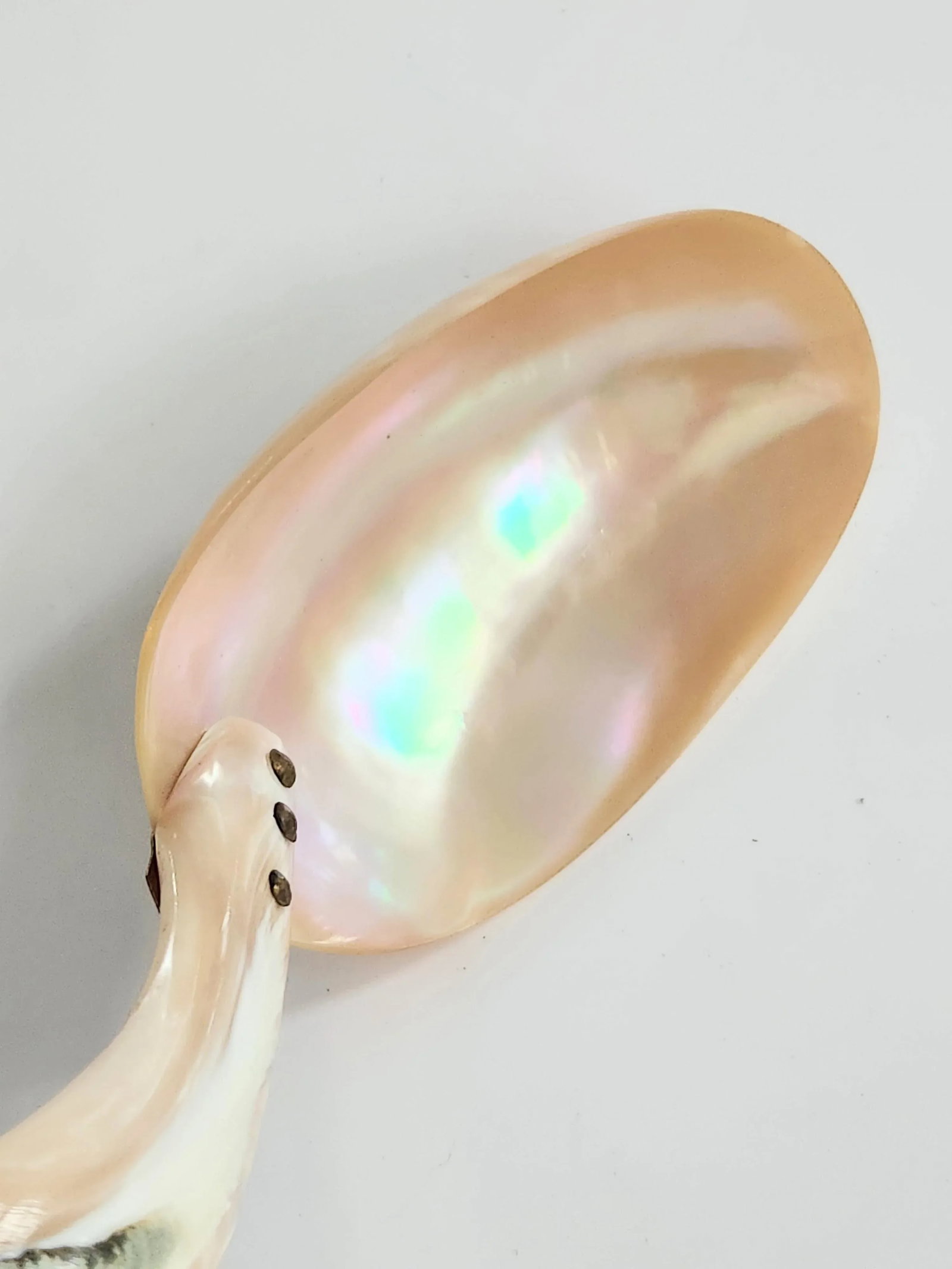 1970s Mother-Of-Pearl Organic Sculptural Sea Shell Serving Spoon - 5