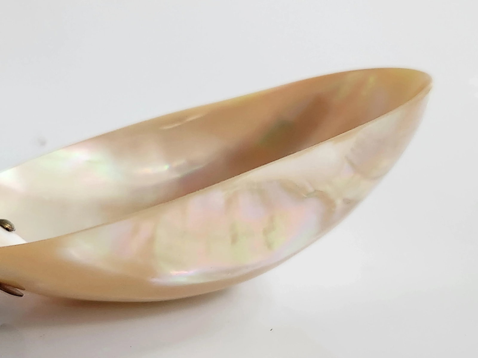 1970s Mother-Of-Pearl Organic Sculptural Sea Shell Serving Spoon - 9