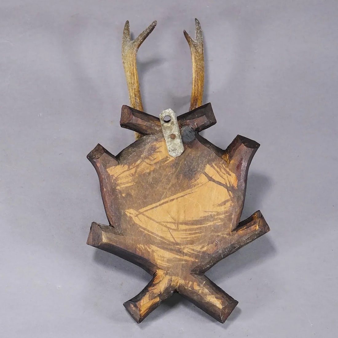 Antique Black Forest Roe Deer Trophy on Carved Plaque, Bavaria 1900s - 4