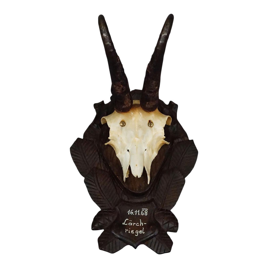 Vintage Black Forest Chamois Trophy on Carved Plaque 1968: Vintage Black Forest Chamois Trophy on Carved Plaque 1968 A decorative trophy of the chamois (Rupicapra rupicapra), mounted on a carved wooden plaque. The plaque is painted black and bears a