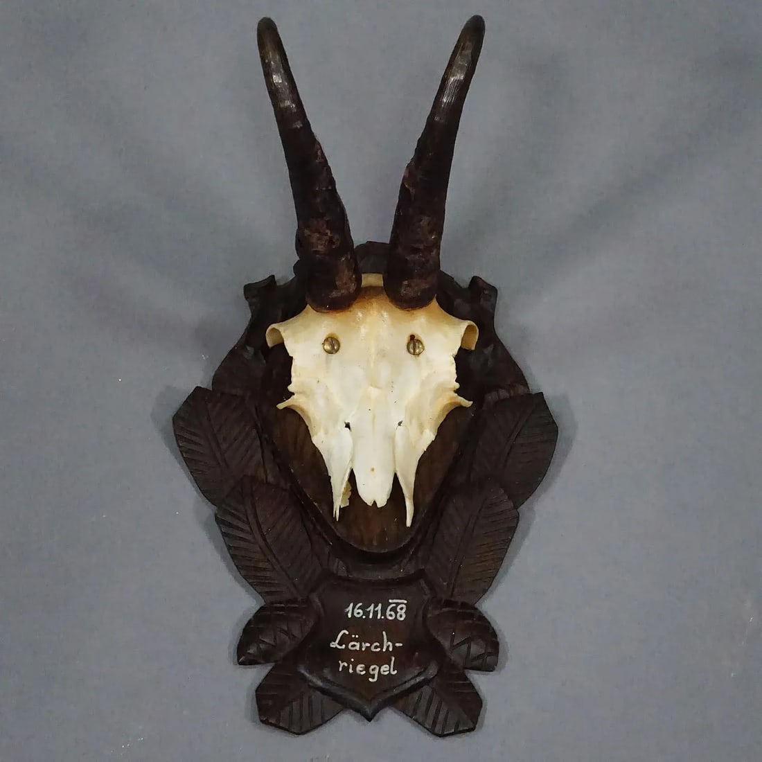 Vintage Black Forest Chamois Trophy on Carved Plaque 1968 - 2