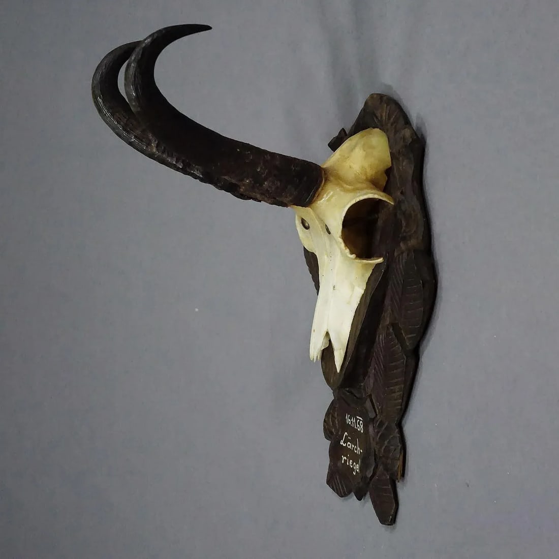Vintage Black Forest Chamois Trophy on Carved Plaque 1968 - 3