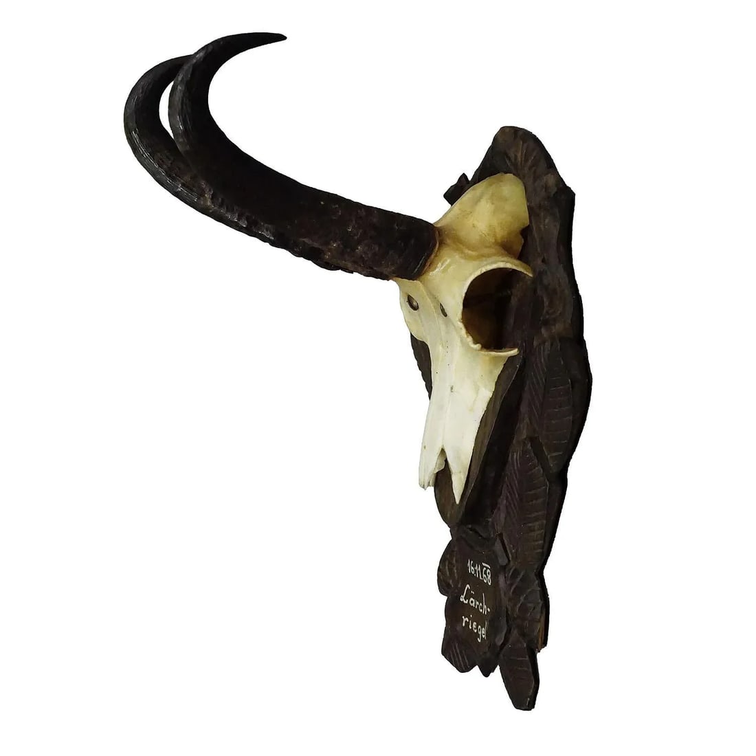 Vintage Black Forest Chamois Trophy on Carved Plaque 1968 - 4