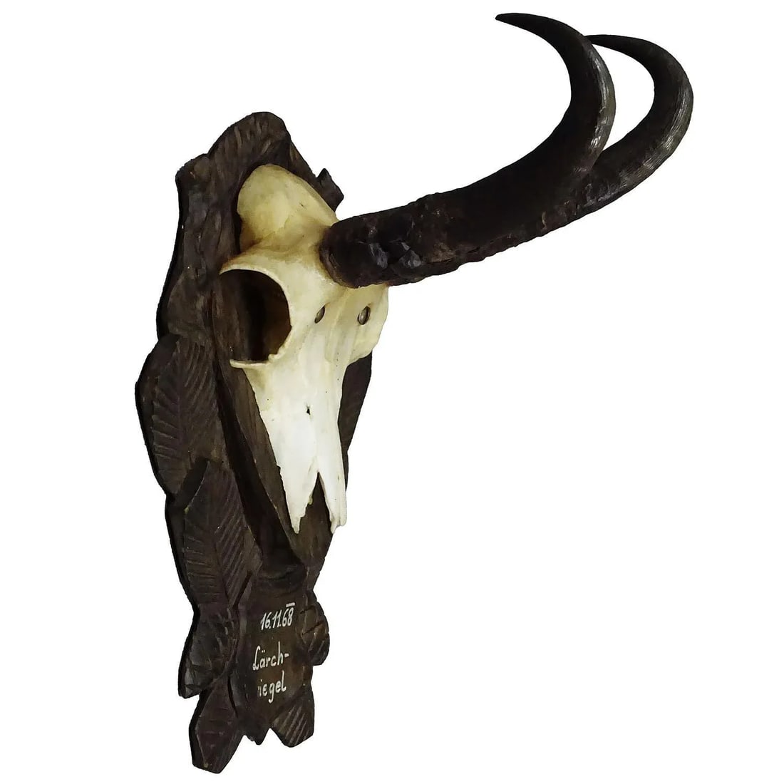 Vintage Black Forest Chamois Trophy on Carved Plaque 1968 - 6