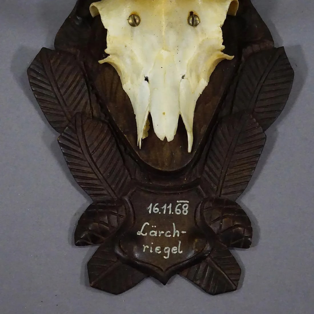 Vintage Black Forest Chamois Trophy on Carved Plaque 1968 - 8