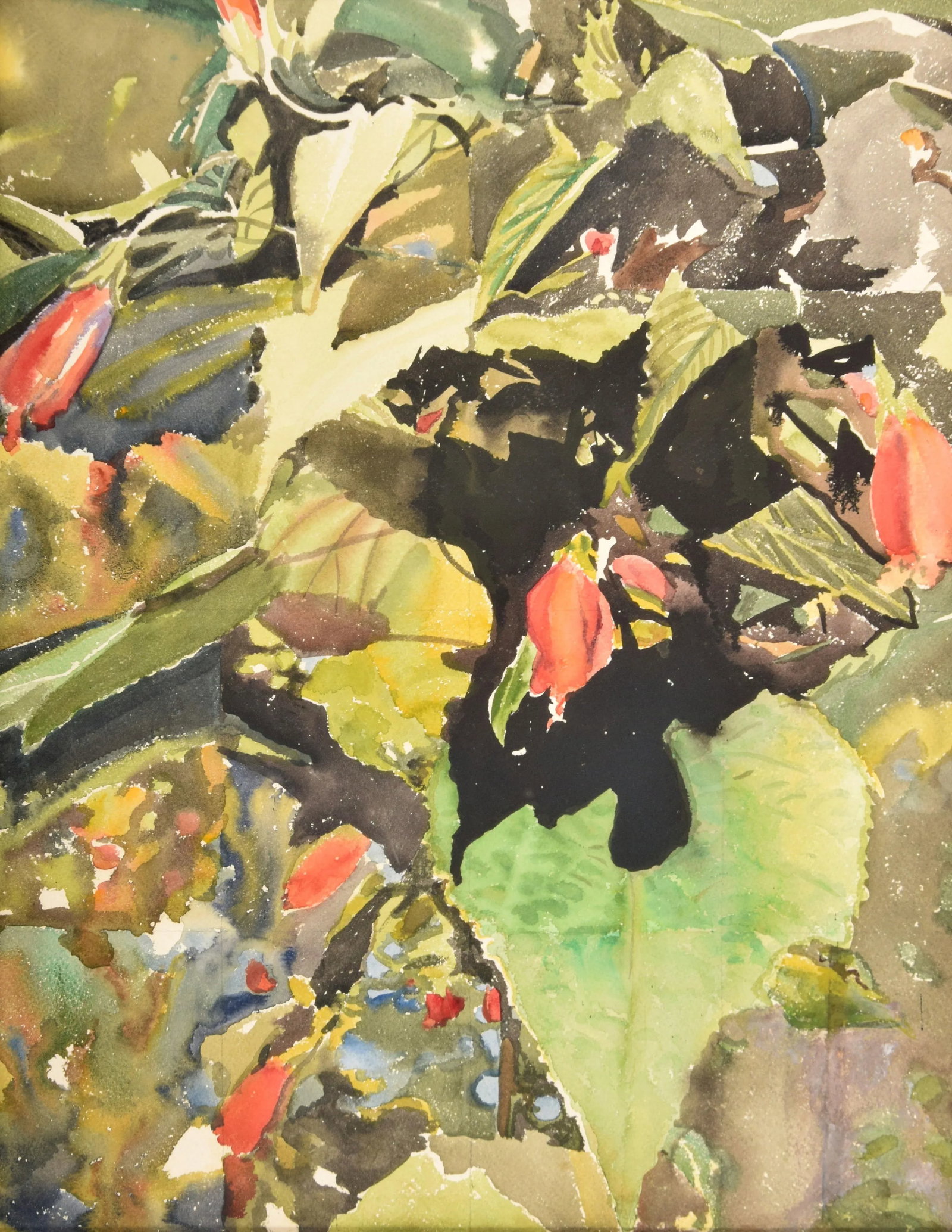 Original Signed Set of Three Roger Howrigan Botanical Watercolor Paintings - 6