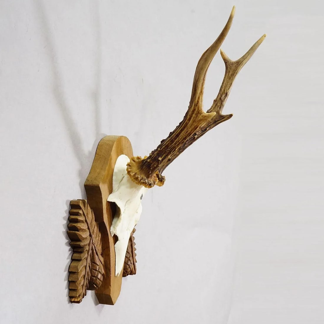 Black Forest Vintage Roe Deer Trophy on Carved Plaque 1950s - 2