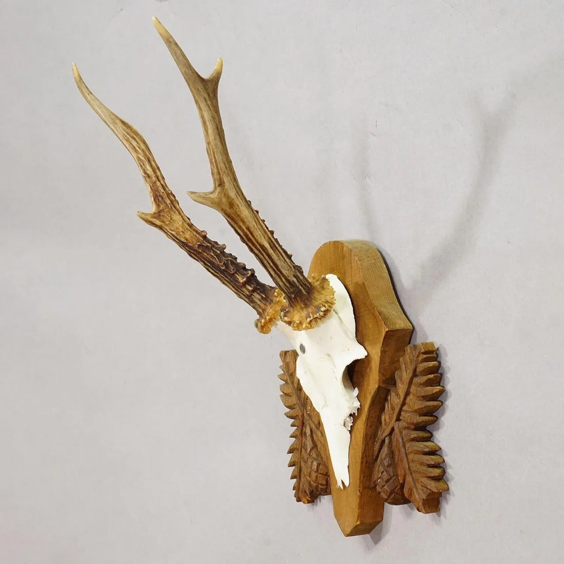 Black Forest Vintage Roe Deer Trophy on Carved Plaque 1950s - 3