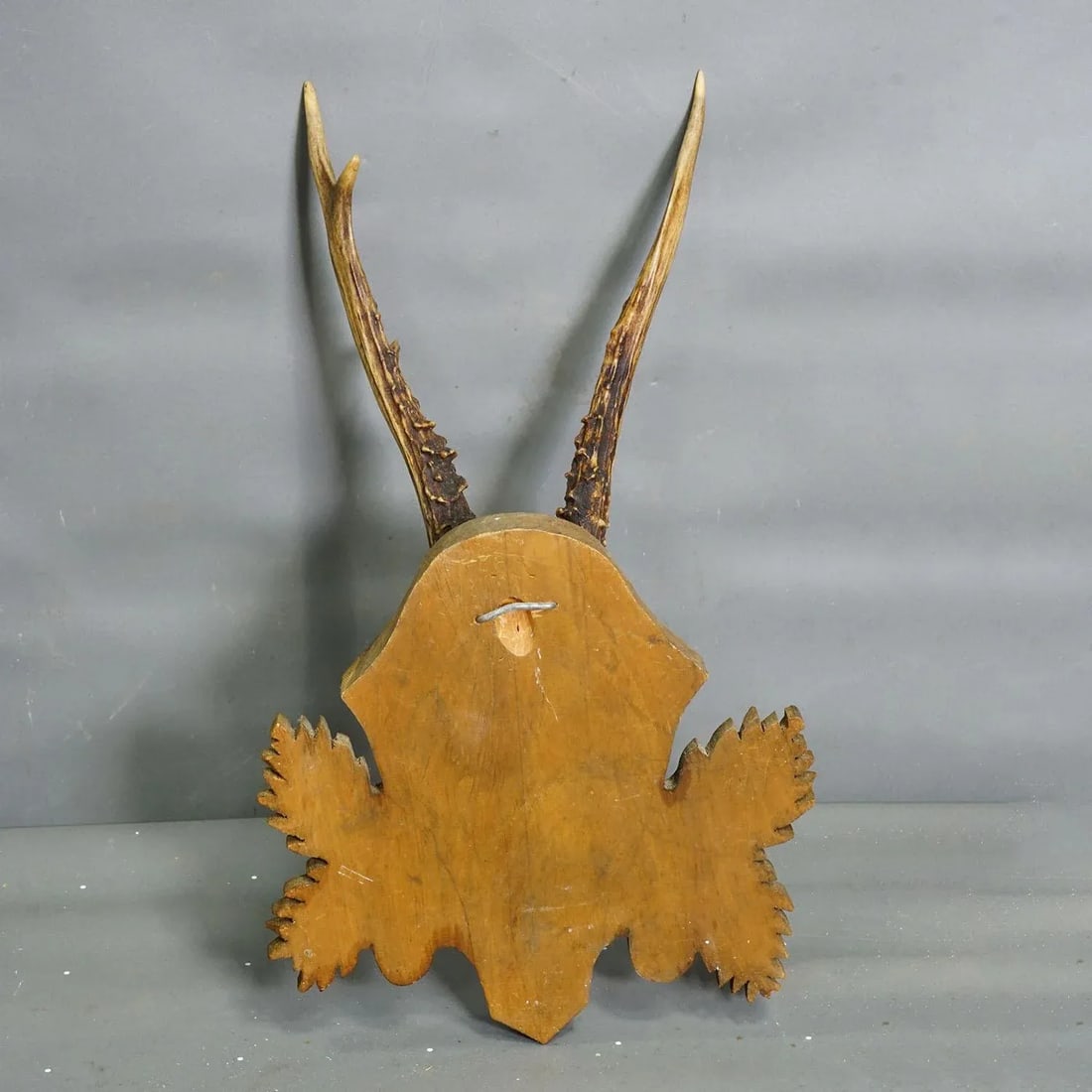 Black Forest Vintage Roe Deer Trophy on Carved Plaque 1950s - 4