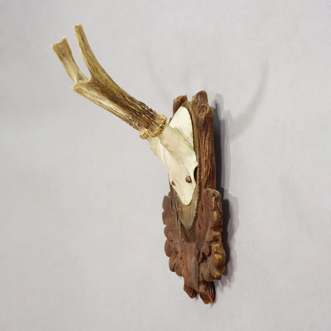 Black Forest Vintage Roe Deer Trophy on Carved Plaque, Germany 1930s - 2