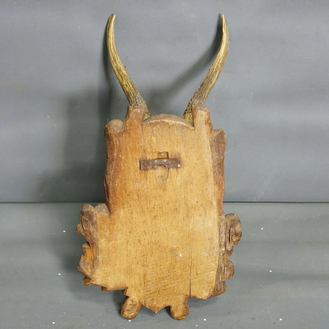 Black Forest Vintage Roe Deer Trophy on Carved Plaque, Germany 1930s - 3