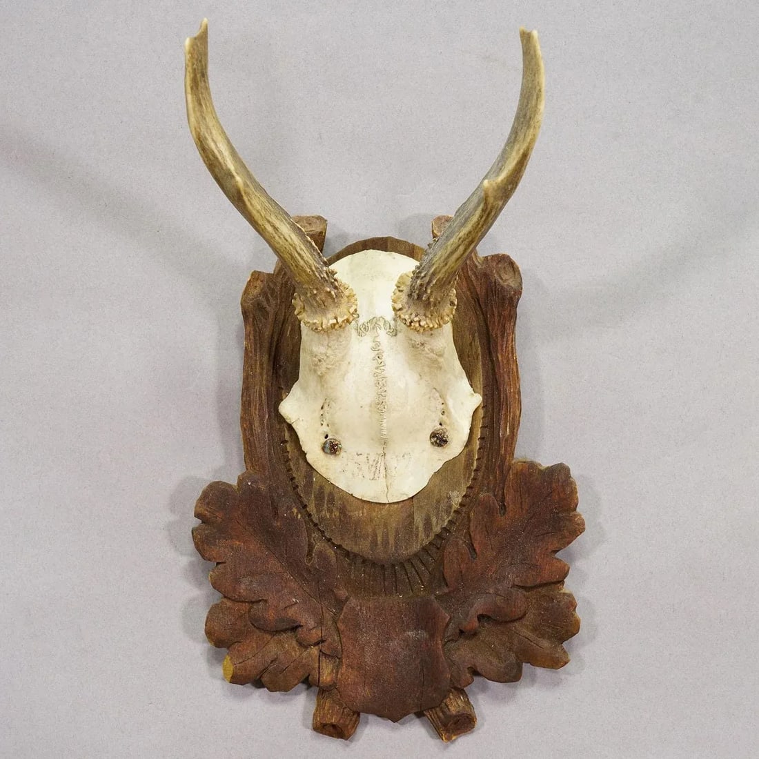 Black Forest Vintage Roe Deer Trophy on Carved Plaque, Germany 1930s - 4