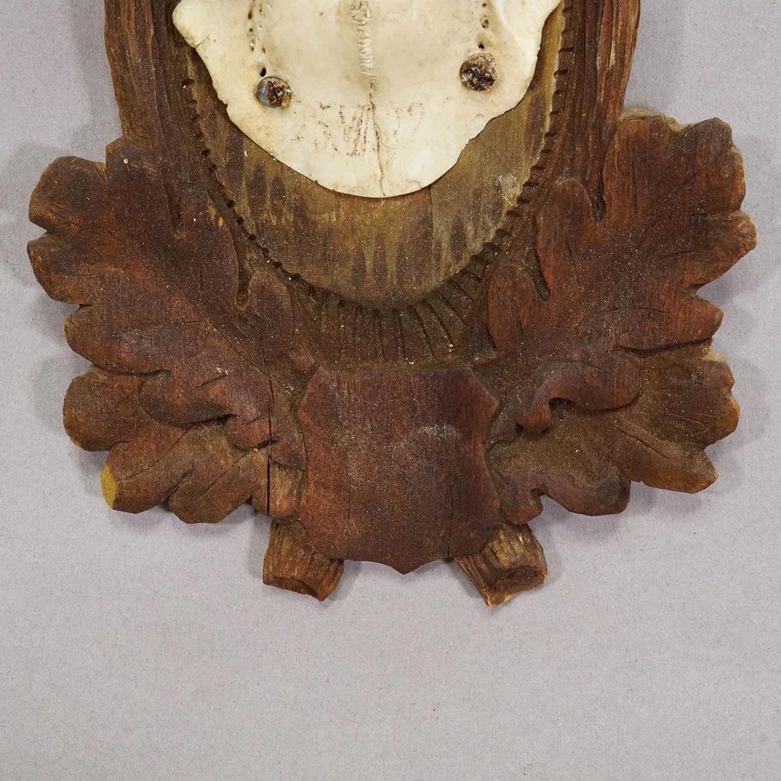 Black Forest Vintage Roe Deer Trophy on Carved Plaque, Germany 1930s - 5