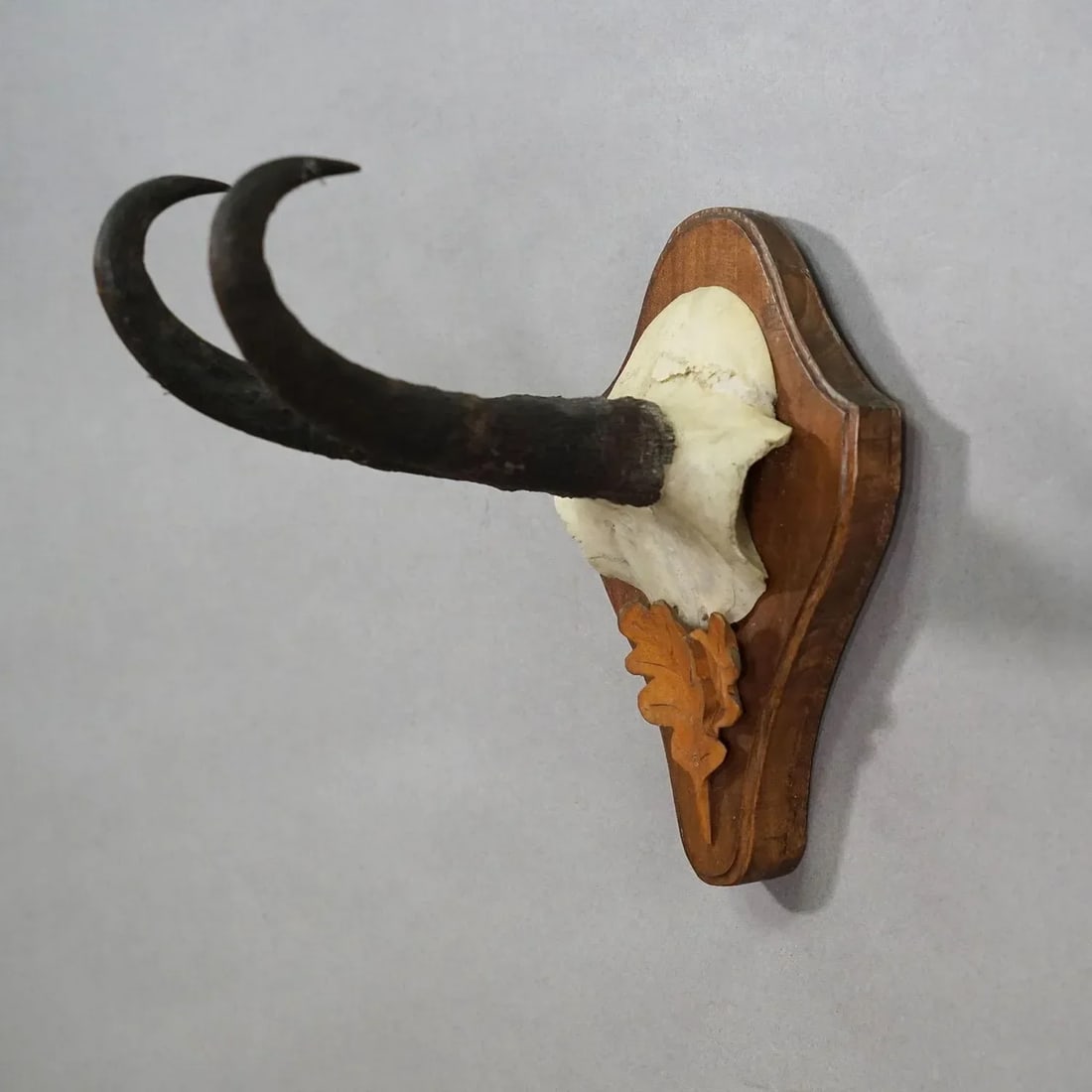 Large Chamois Trophy on Turned Plaque, Austria 1950s - 3
