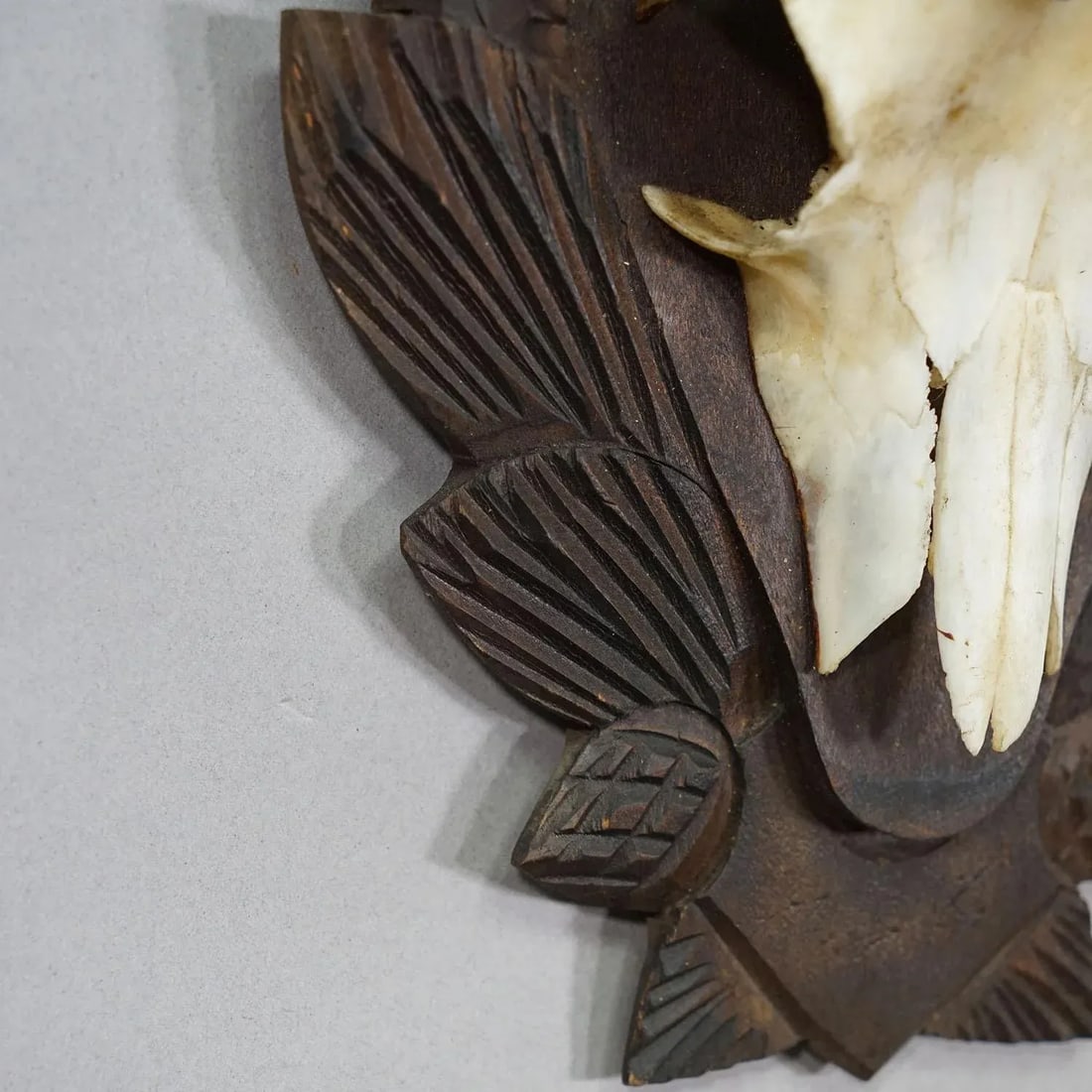 Vintage Chamois Trophy on Carved Plaque, Germany 1950s - 7