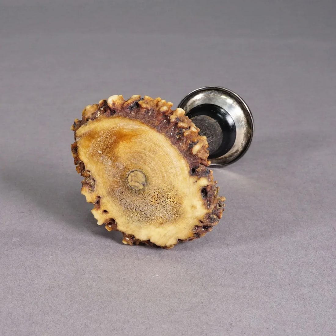 Antique Candle Stick With Real Chamois Horn, Circa 1900s - 4