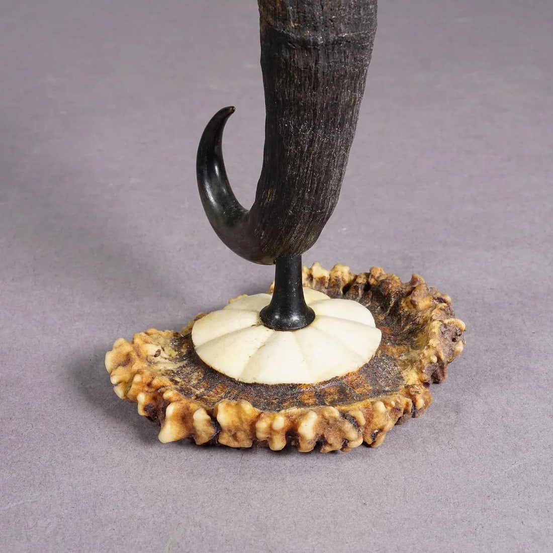 Antique Candle Stick With Real Chamois Horn, Circa 1900s - 5