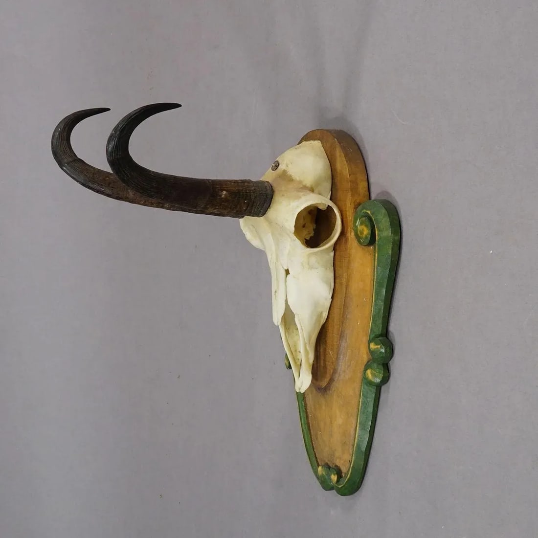 Vintage Black Forest Chamois Trophy on Carved Plaque Ca. 1950 - 4