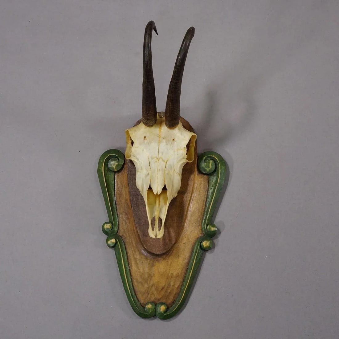 Vintage Black Forest Chamois Trophy on Carved Plaque Ca. 1950 - 2