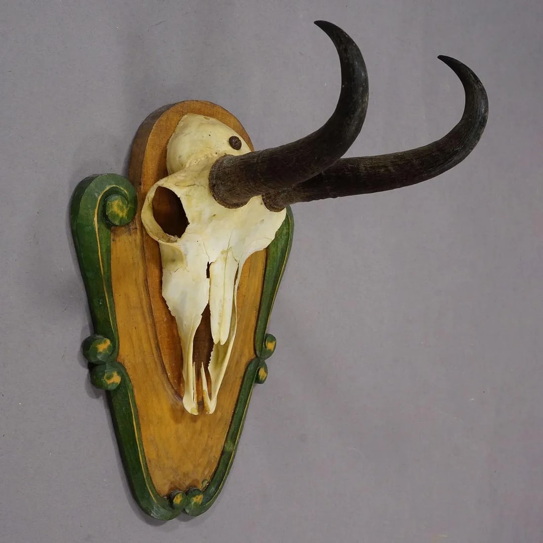Vintage Black Forest Chamois Trophy on Carved Plaque Ca. 1950 - 2