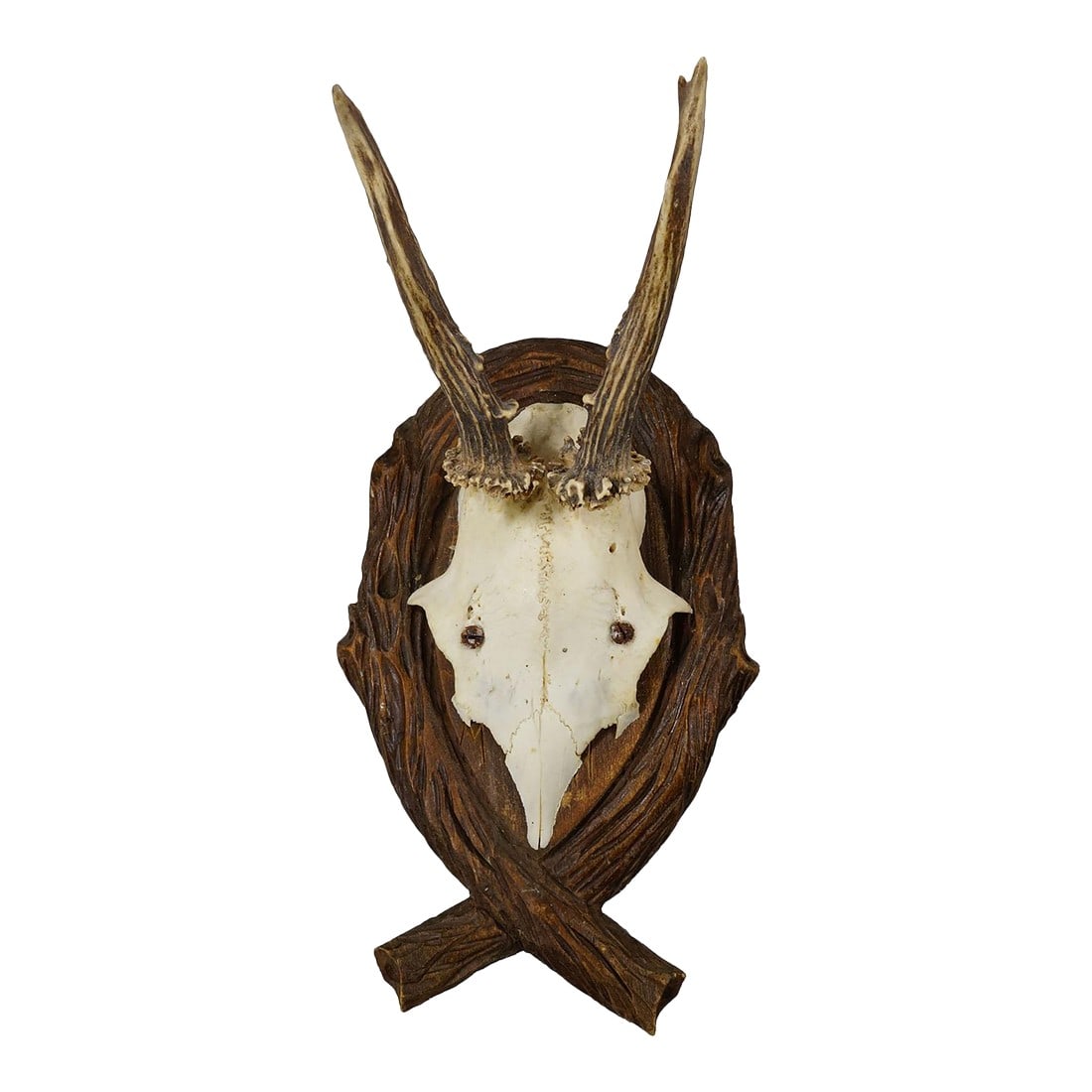 Antique Deer Trophy on Carved Plaque, Germany 1942: Antique Deer Trophy on Carved Plaque, Germany 1942 An antiquered deer (Cervus elaphus) trophy from the Black Forest mounted on a wooden carved wall plaque. The trophy was shot in 1942. Handwritten ins