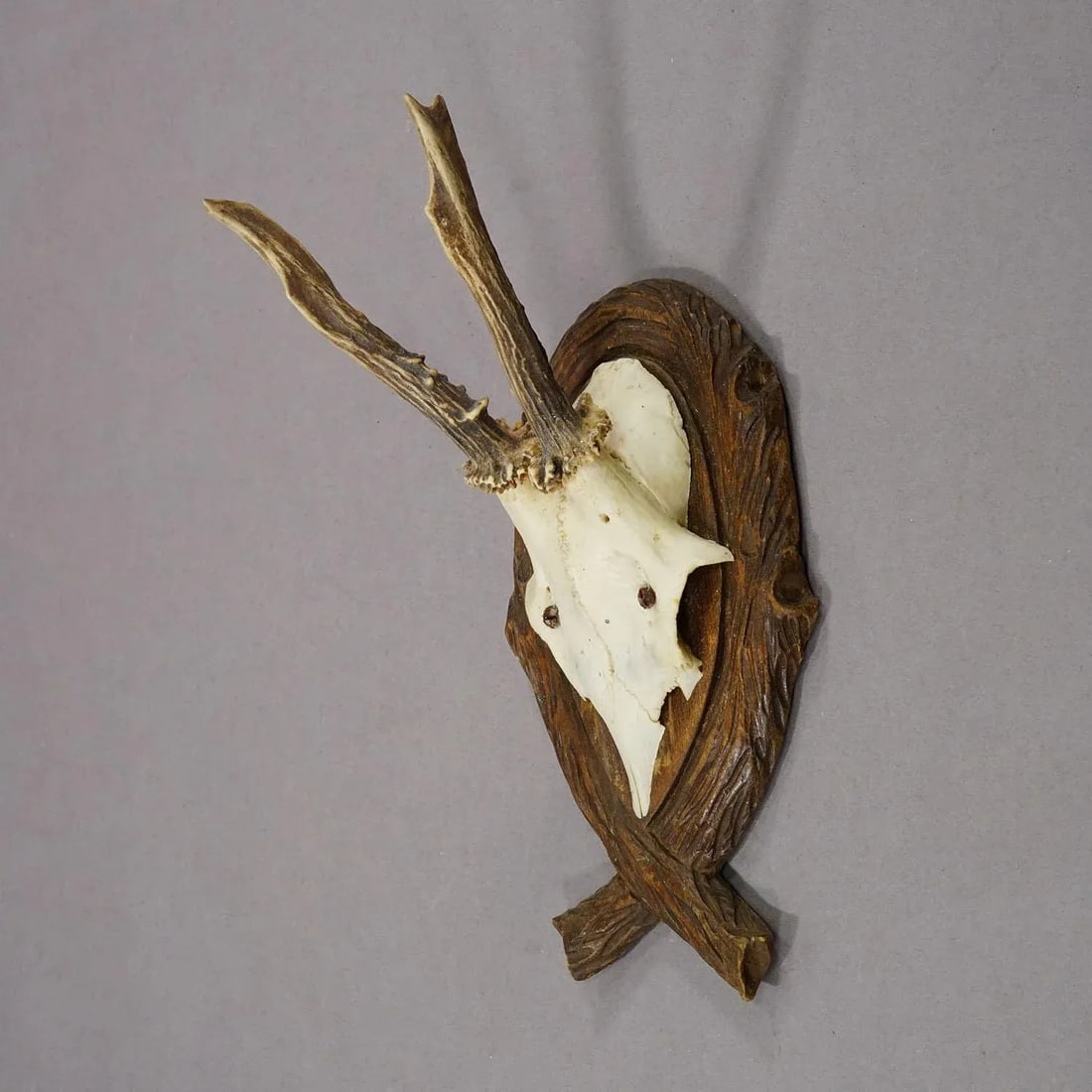 Antique Deer Trophy on Carved Plaque, Germany 1942 - 2