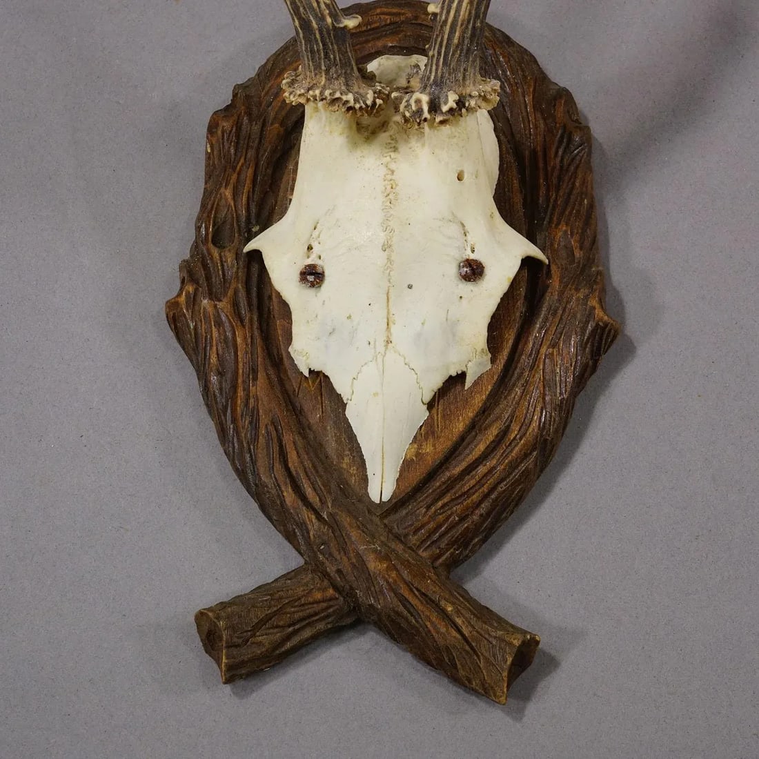 Antique Deer Trophy on Carved Plaque, Germany 1942 - 6