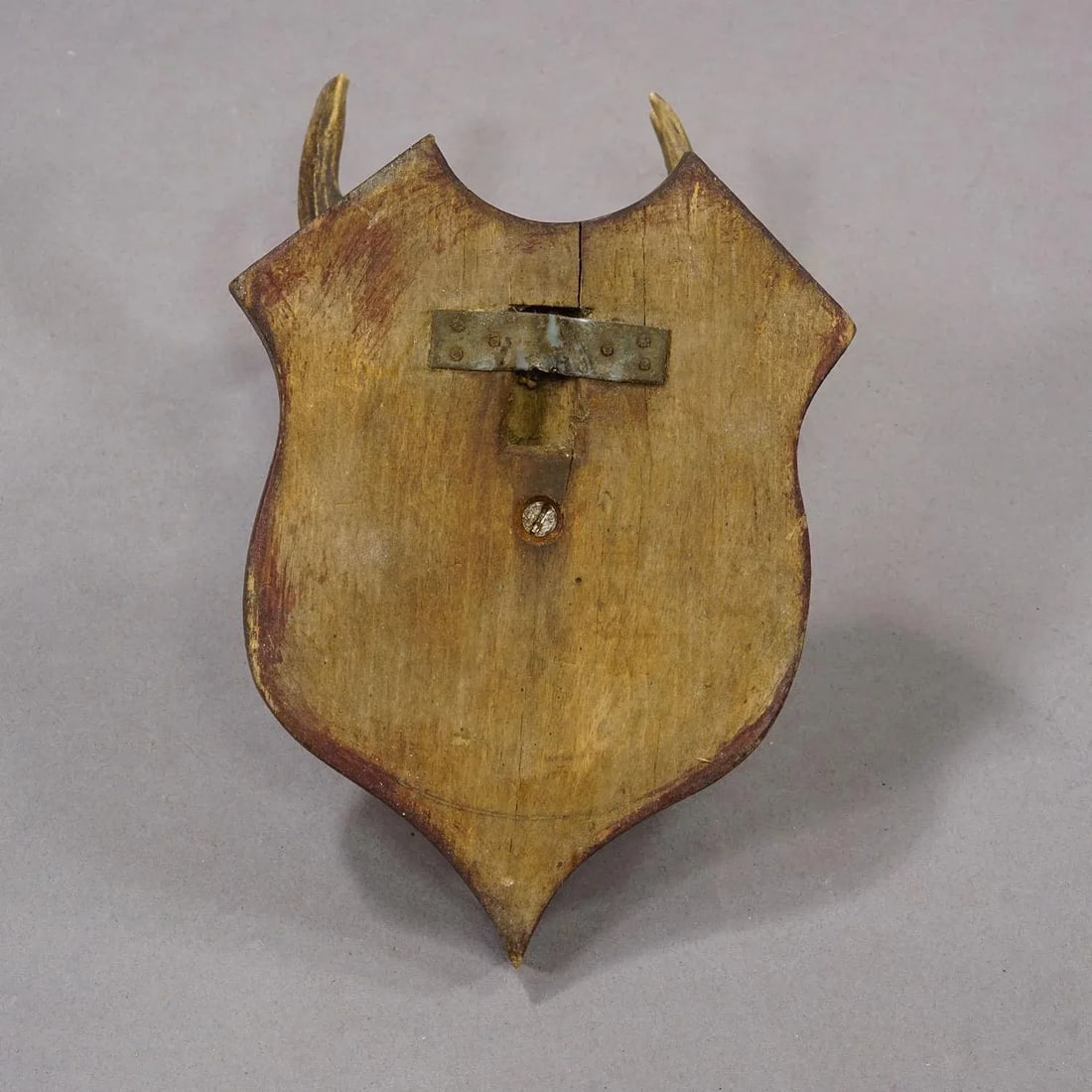 Antique Roe Deer Trophy on Turned Plaque, Germany ca.1930s - 6