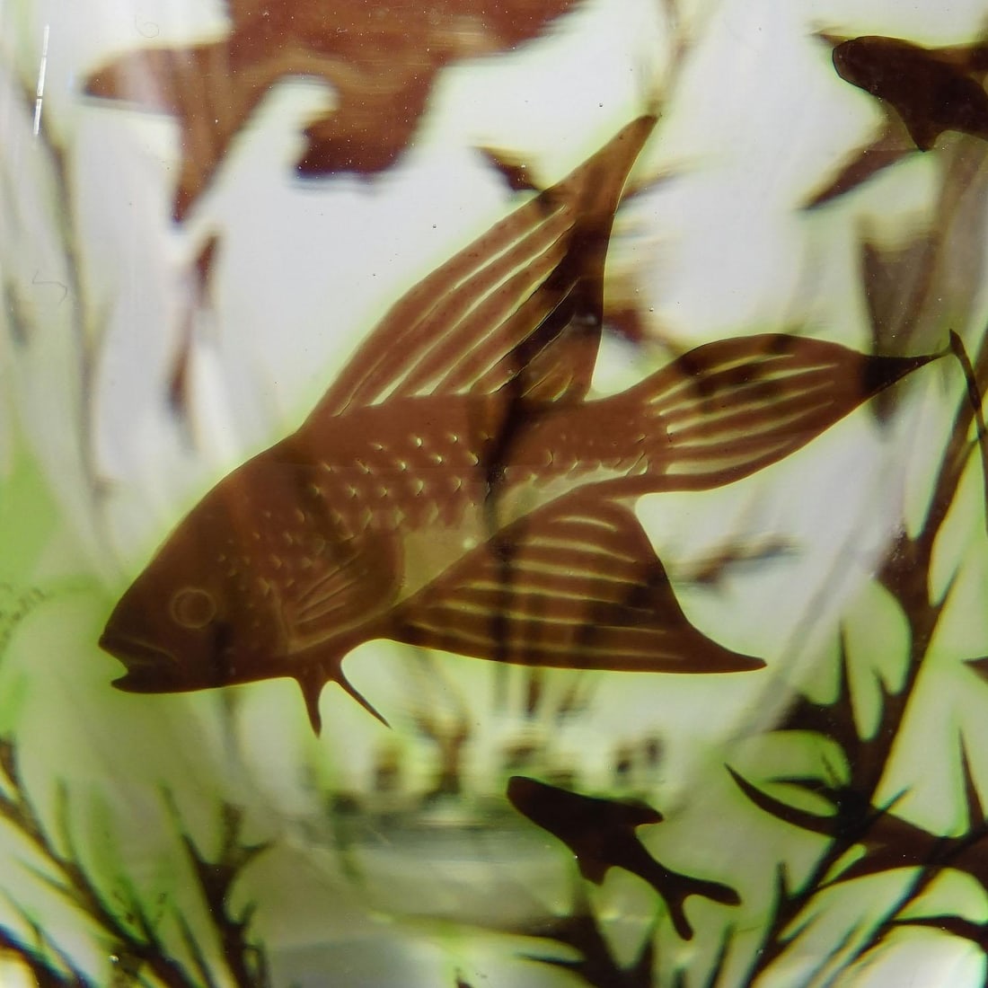 Early Fish Graal Vase by Edward Hald for Orrefors, Sweden 1948 - 8