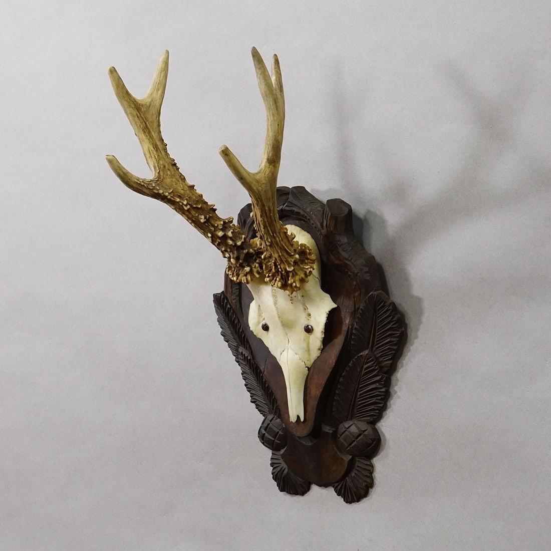 Antique Black Forest Red Deer Trophy on Carved Plaque Ca. 1930s - 2