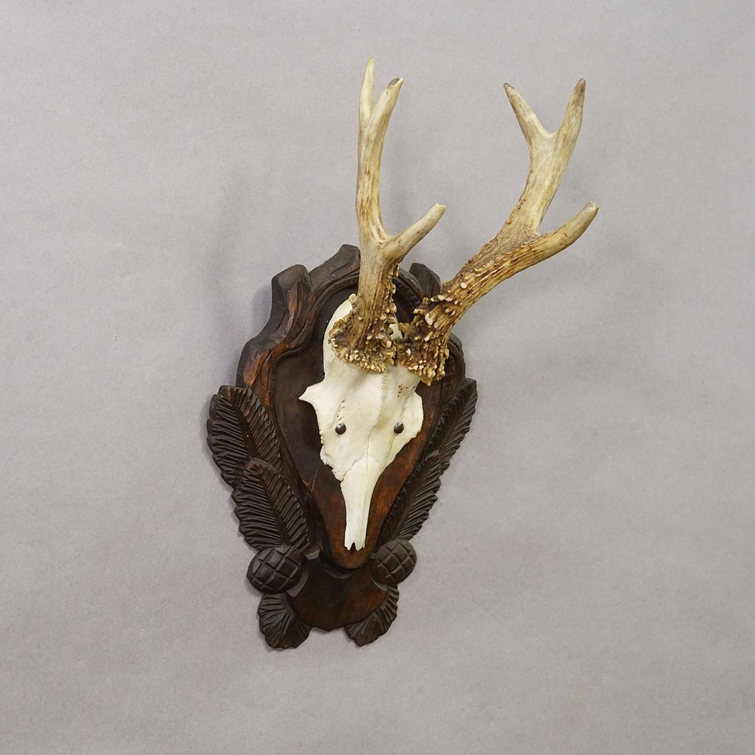 Antique Black Forest Red Deer Trophy on Carved Plaque Ca. 1930s - 3