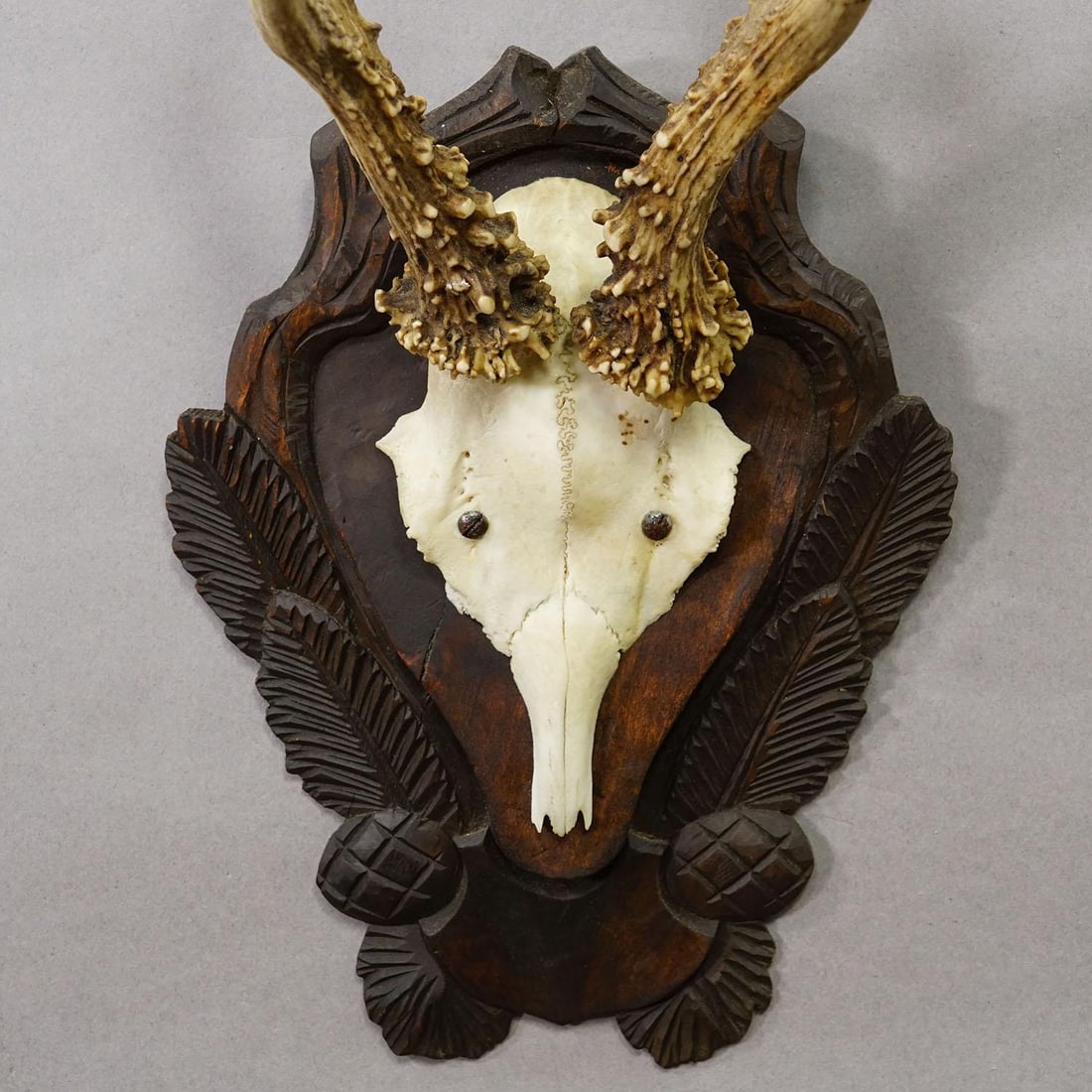 Antique Black Forest Red Deer Trophy on Carved Plaque Ca. 1930s - 4