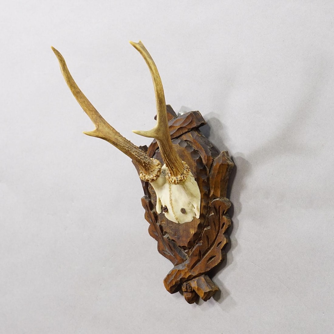 Antique Black Forest Red Deer Trophy on Carved Plaque Ca. 1930s - 2