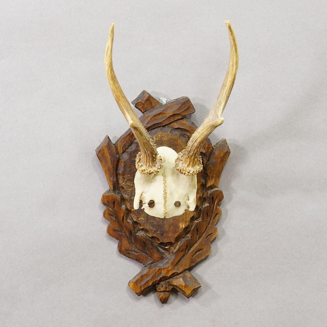 Antique Black Forest Red Deer Trophy on Carved Plaque Ca. 1930s - 3