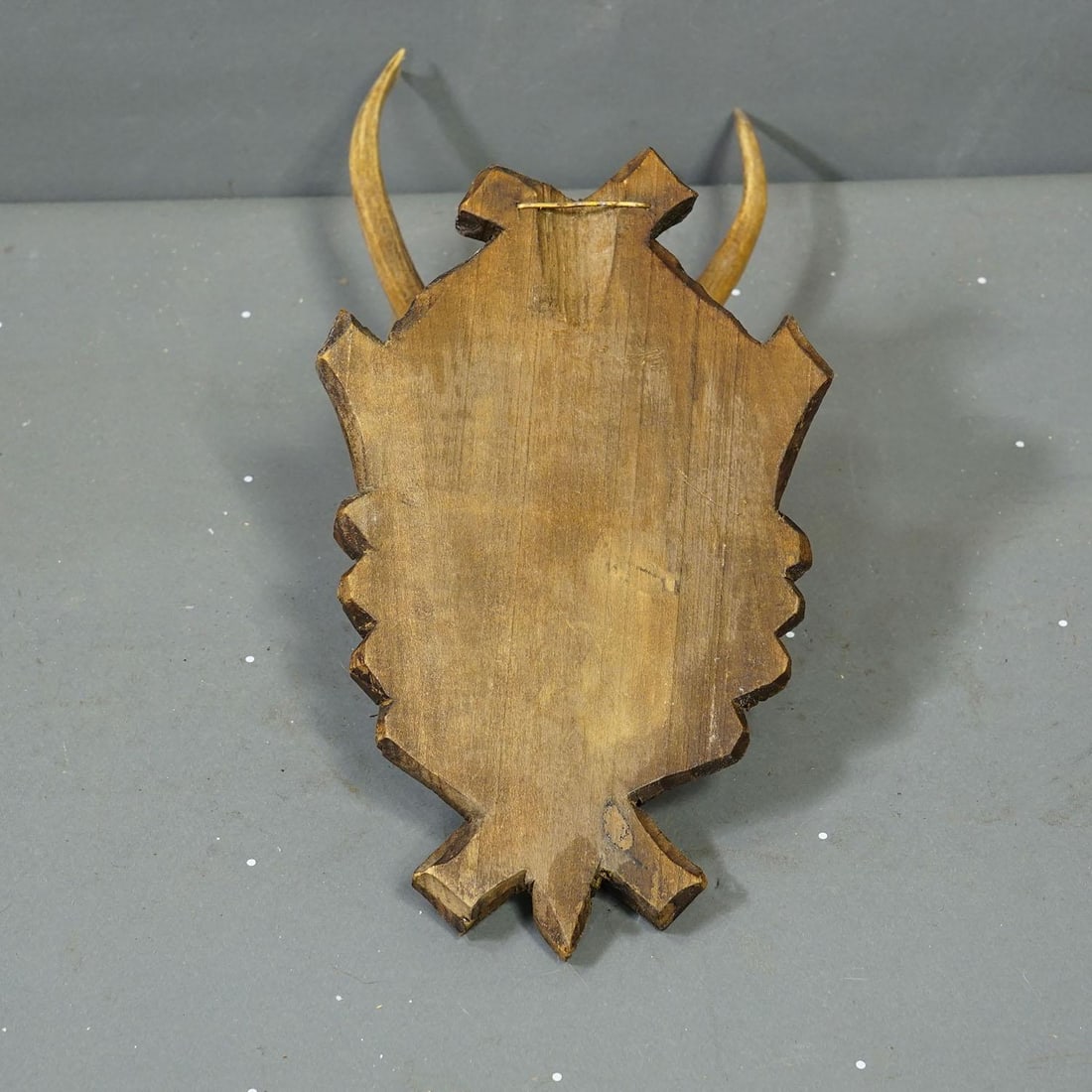 Antique Black Forest Red Deer Trophy on Carved Plaque Ca. 1930s - 4