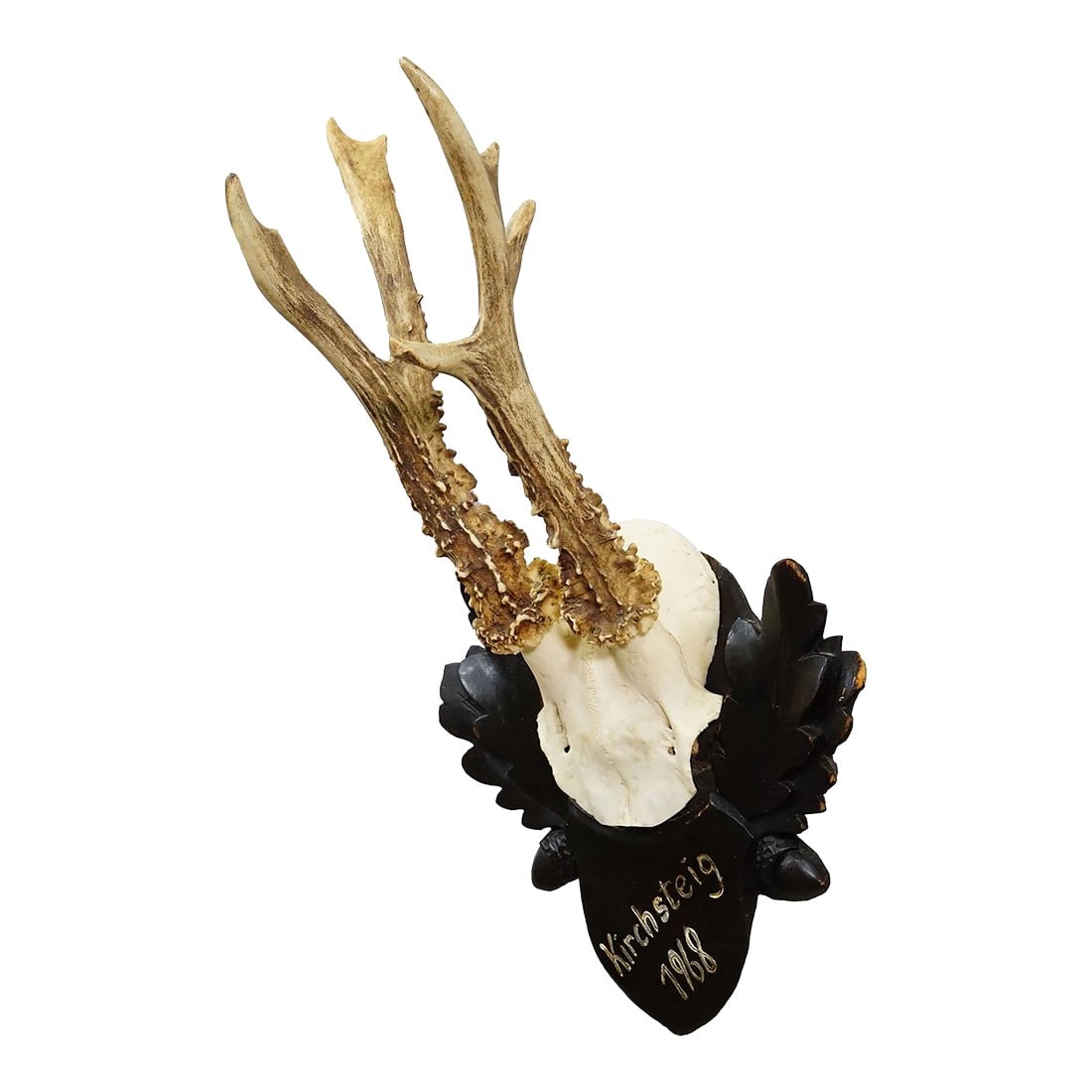 Vintage Black Forest Red Deer Trophy on Carved Plaque, Germany 1968: Vintage Black Forest Red Deer Trophy on Carved Plaque, Germany 1968 An antique red deer (Cervus elaphus) trophy mounted on a carved wooden plaque. The trophy was shot in Germany arround 1968. It