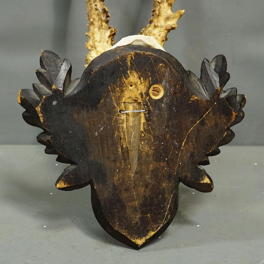 Vintage Black Forest Red Deer Trophy on Carved Plaque, Germany 1968 - 5