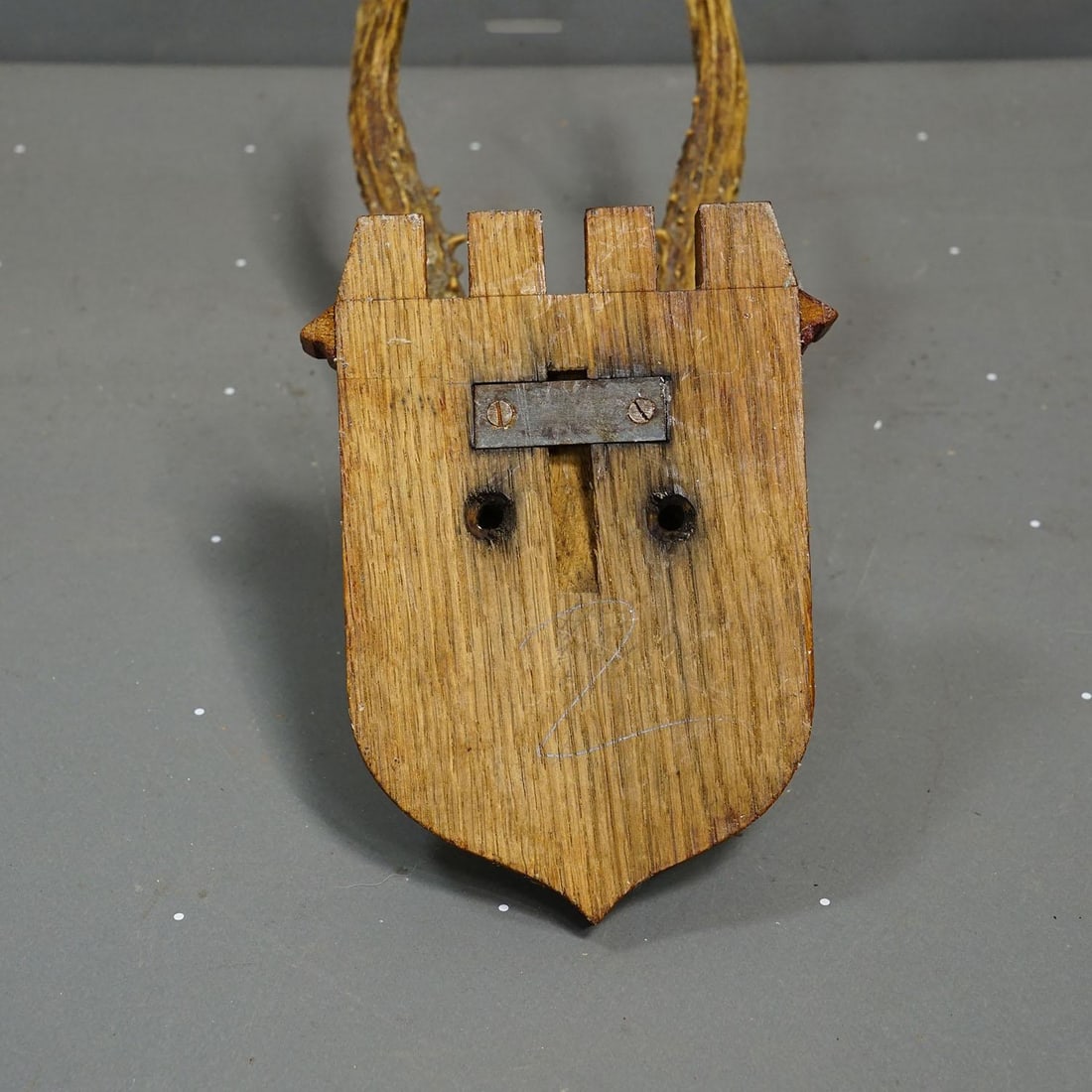 Red Deer Trophy on Wooden Plaque, by Philip Ernst, Prince of Thurn and Taxis, 1955 - 6