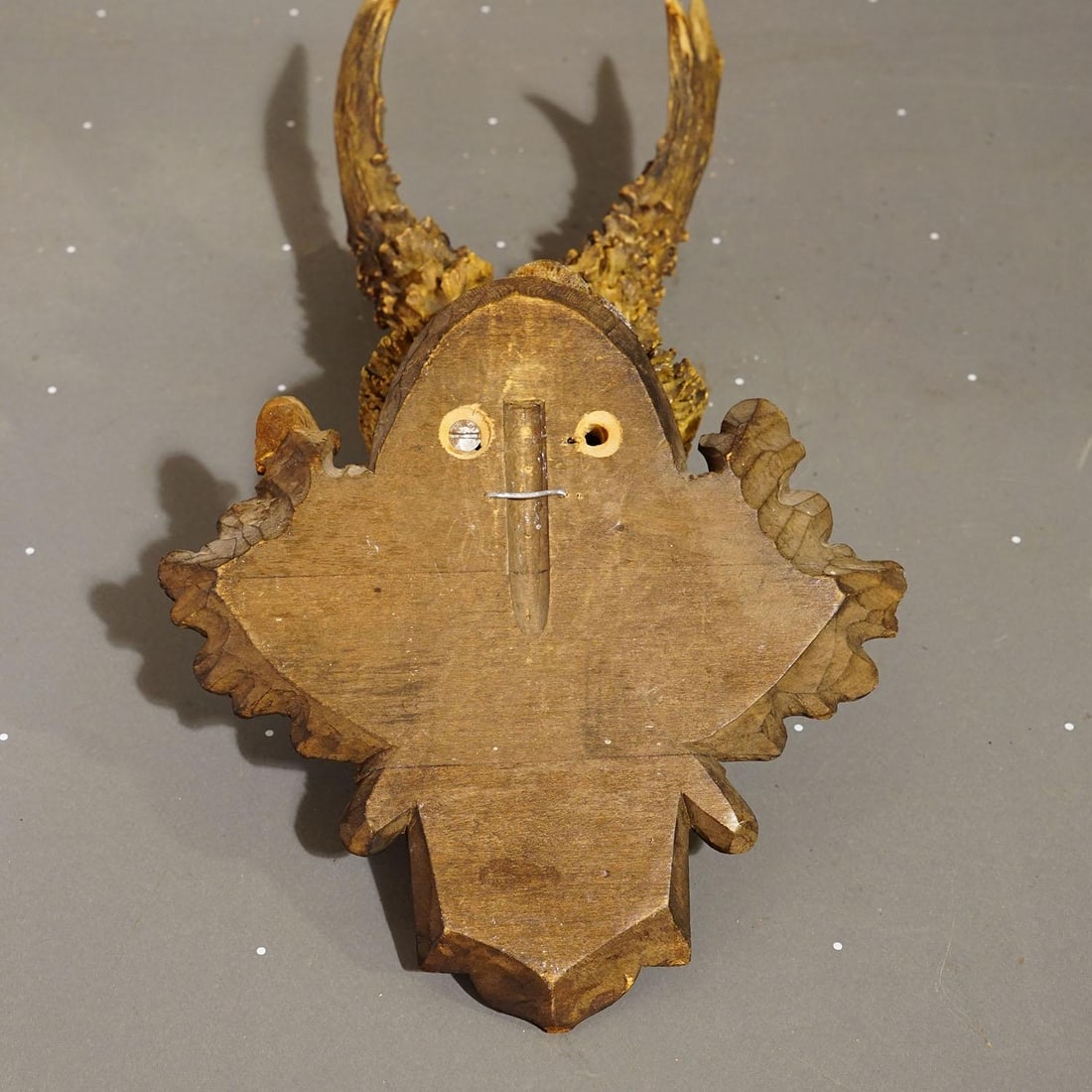 Antique Black Forest Red Deer Trophy on Carved Plaque - Germany 1932 - 6