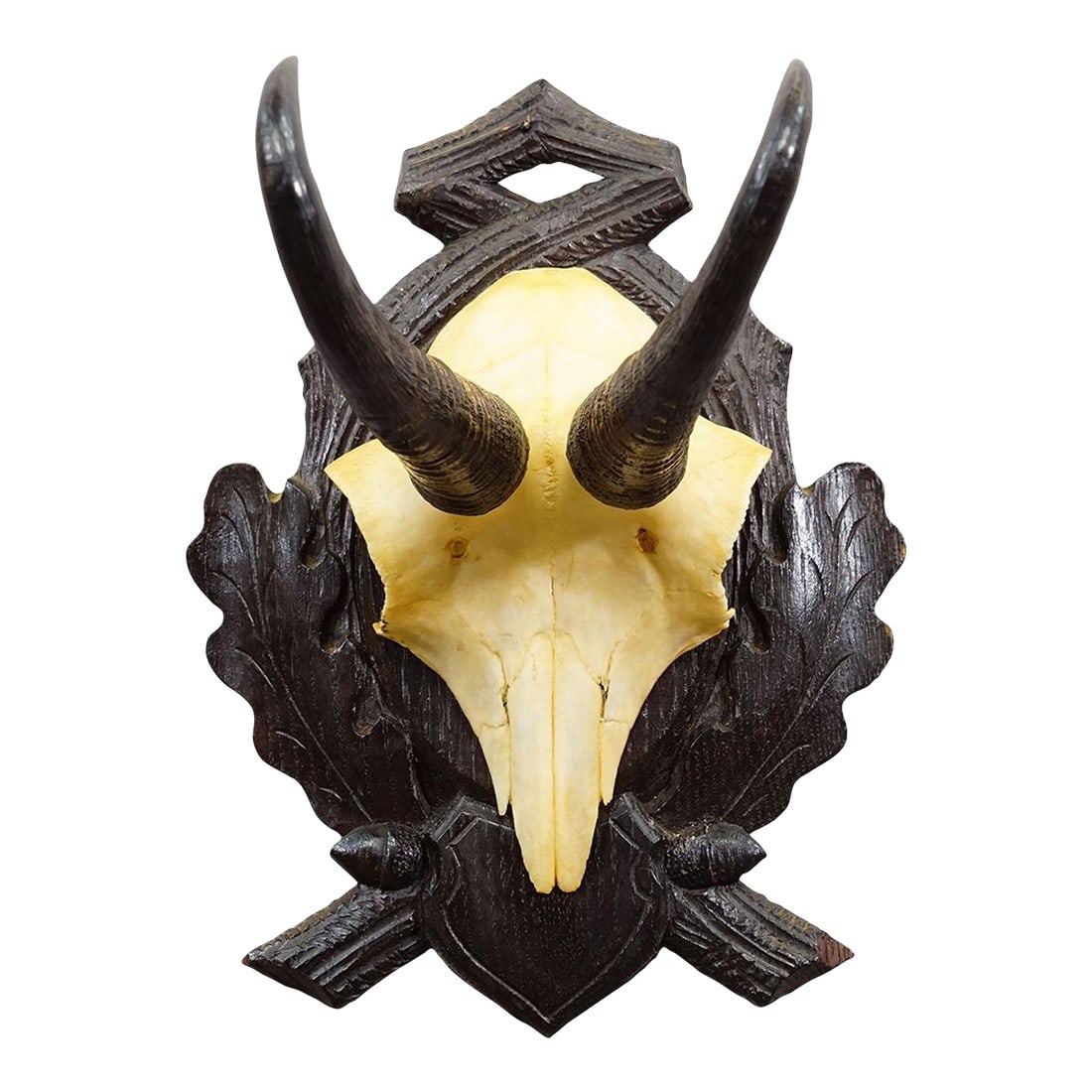 Antique Chamois Trophy on Carved Plaque, Germany Ca. 1930s (1 of 5)