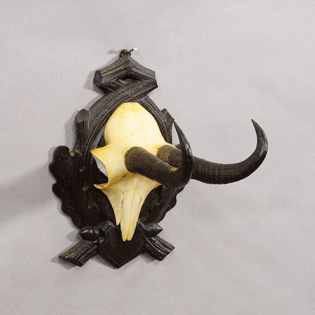 Antique Chamois Trophy on Carved Plaque, Germany Ca. 1930s - 2