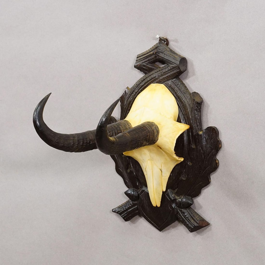 Antique Chamois Trophy on Carved Plaque, Germany Ca. 1930s - 3